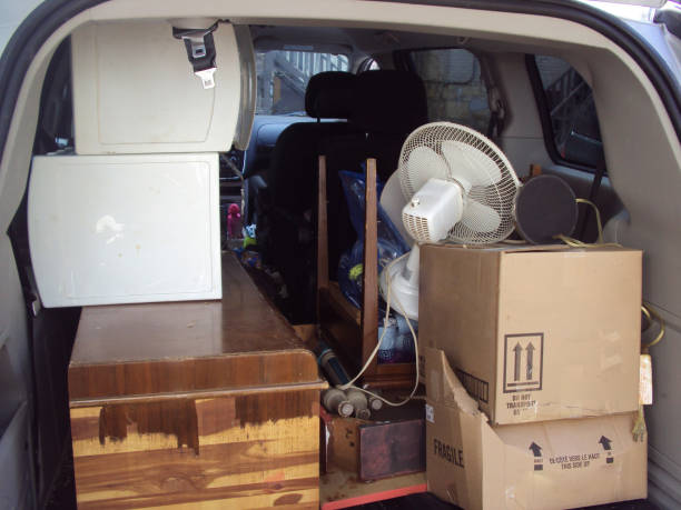 Best Specialty Removal Services in Mogul, NV